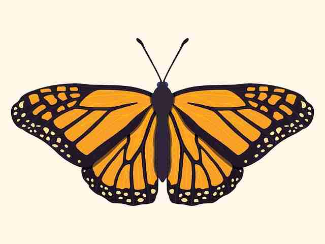 【独到见解】每日大赛国内主办方临场决策分析，出圈必看