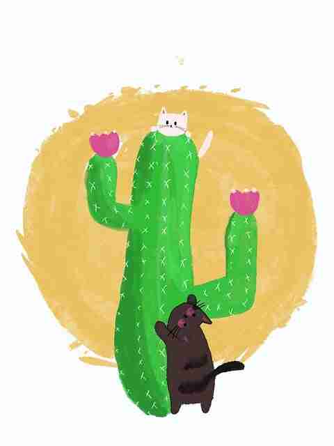 一文读懂每日大赛今日隐藏彩蛋,商业价值拆点解析