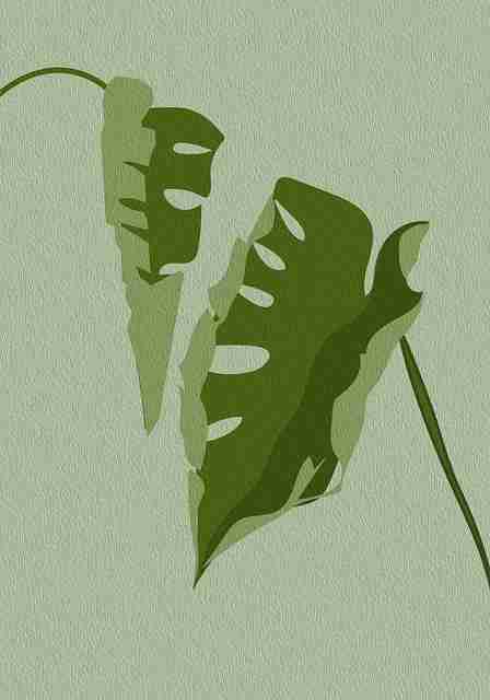 海角社区官网社区热议背后的彩蛋揭秘未来蓝图