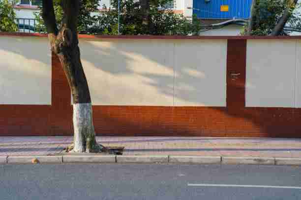 【网感视角】每日大赛在线免费观看赛后复盘关键帧图解，令人意外