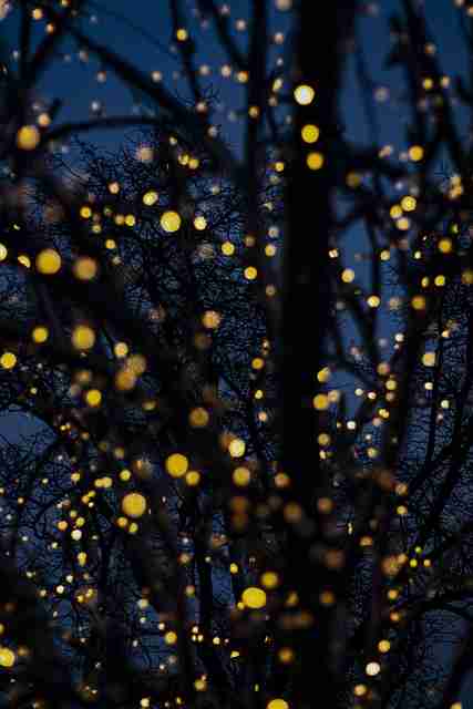 51爆料新手教程不完全统计:彩蛋揭秘互动问答